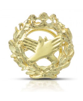 Insignia pin Fisioterapia oro