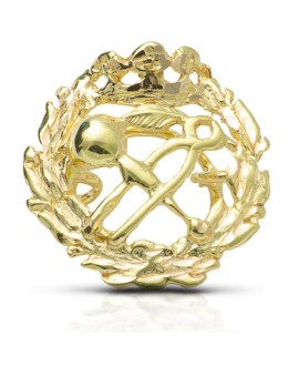 Insignia pin Matemáticas oro