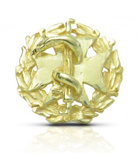 Insignia pin Odontología oro