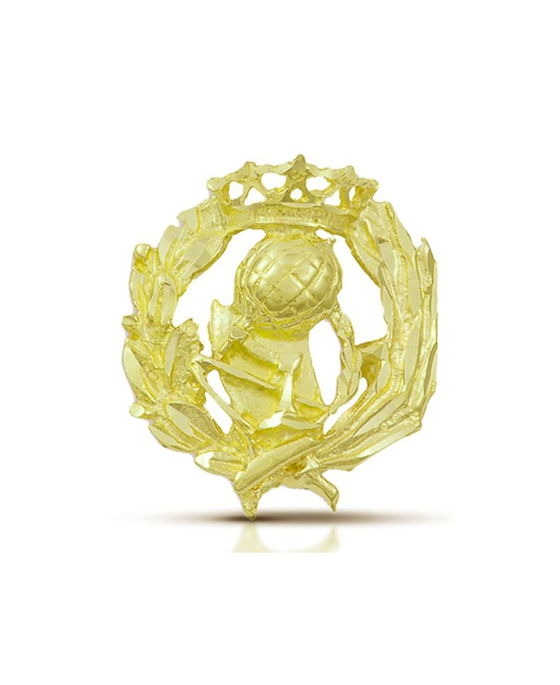 Pin insignia de Magisterio oro | Joyería Gimeno | Tu joyería de confianza en Valencia