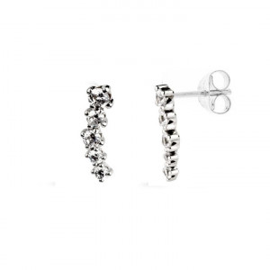 Pendientes  trepadores de...